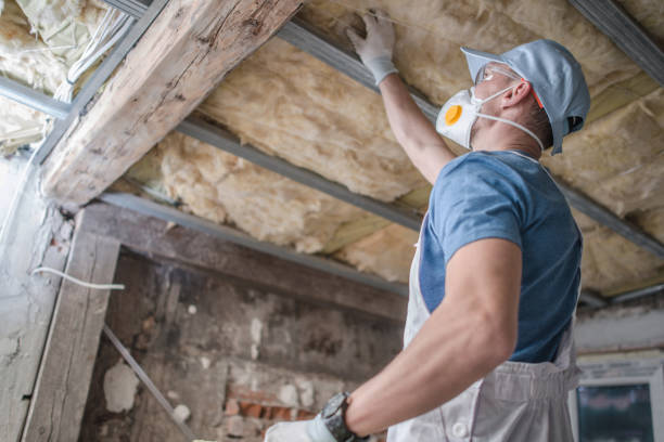 Best Spray Foam Insulation in Leakesville, MS